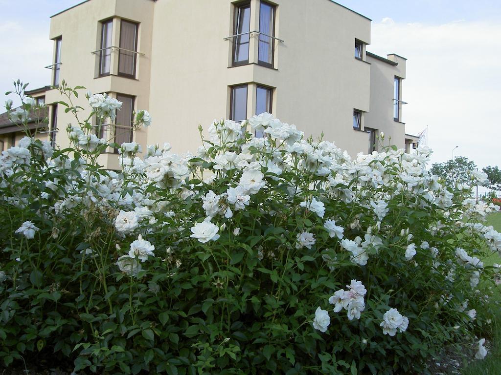 Hotel Grodzki Poznan Exterior foto
